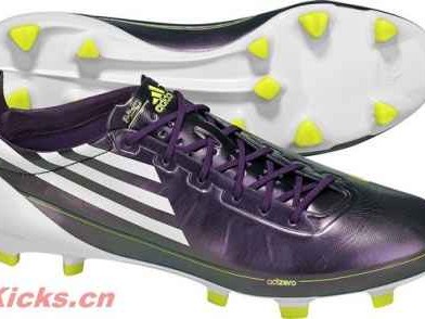 一双鞋子能告诉你的事儿：从脚底看懂我们的社会、历史和自己