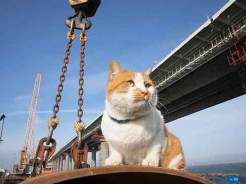 动画师与程序员的秘密武器 IK技术改变动作制作