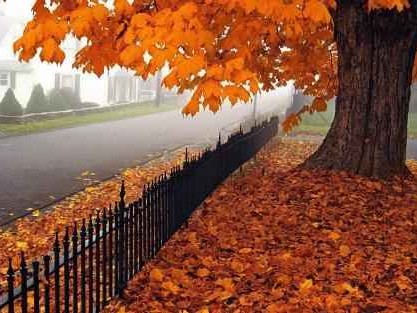 抓住秋天好时光 居家整理有妙方