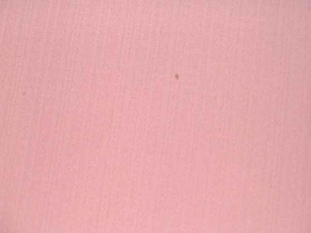 Poly面料大揭秘你的衣柜里少不了它