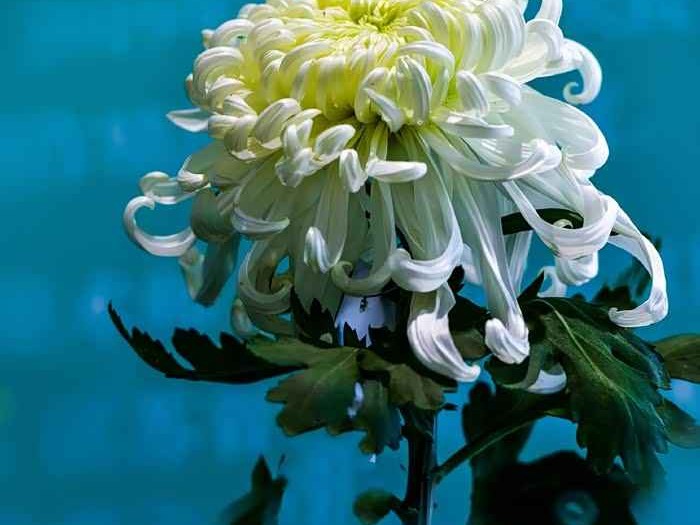 原来这才是真正的鹅黄色，你之前可能都误会它了！