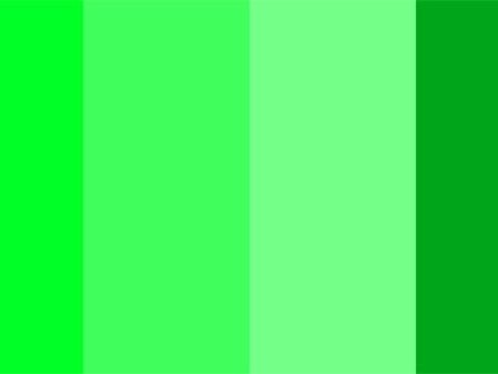 绿色搭配全攻略：什么颜色配什么颜色是绿色